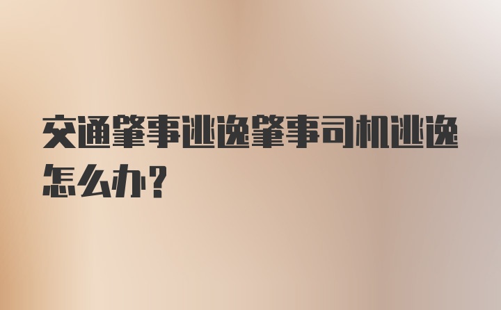 交通肇事逃逸肇事司机逃逸怎么办？