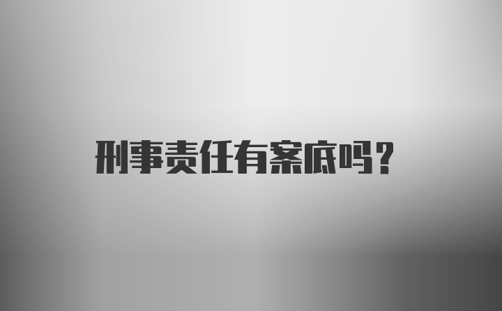 刑事责任有案底吗？