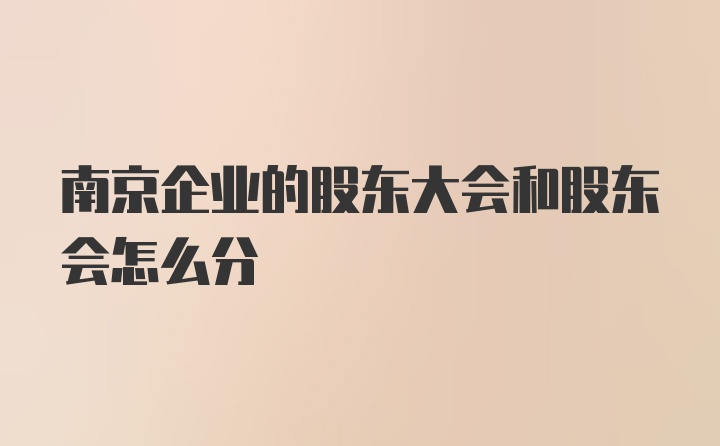 南京企业的股东大会和股东会怎么分