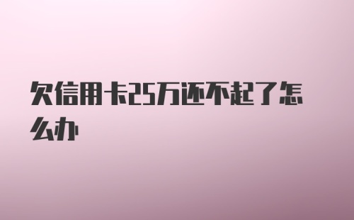 欠信用卡25万还不起了怎么办