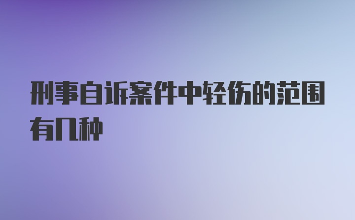 刑事自诉案件中轻伤的范围有几种