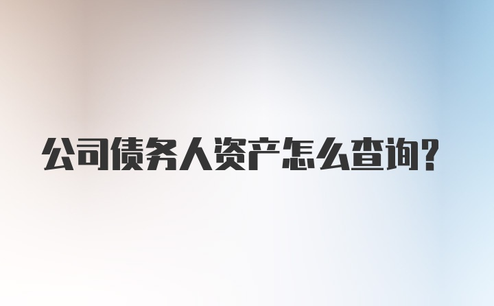 公司债务人资产怎么查询？