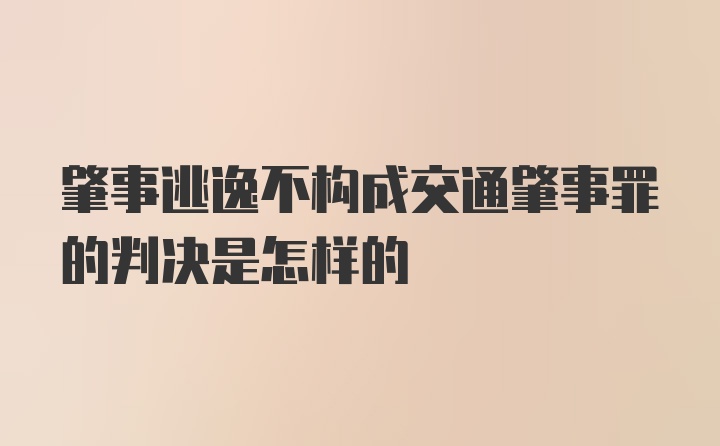 肇事逃逸不构成交通肇事罪的判决是怎样的