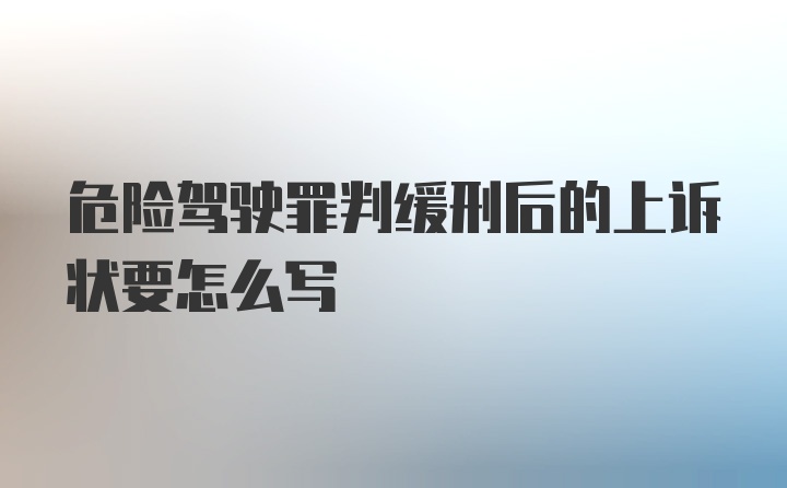 危险驾驶罪判缓刑后的上诉状要怎么写