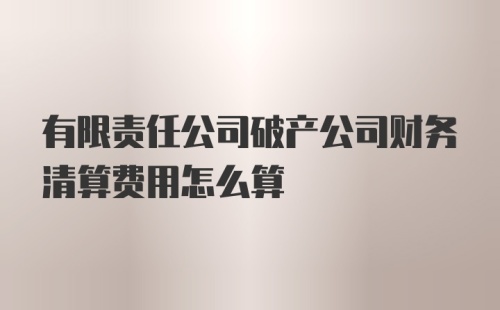 有限责任公司破产公司财务清算费用怎么算