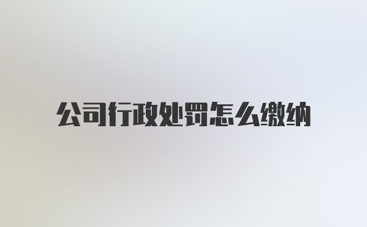 公司行政处罚怎么缴纳