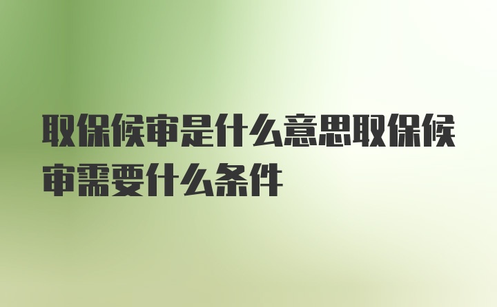 取保候审是什么意思取保候审需要什么条件