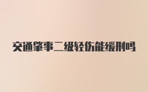 交通肇事二级轻伤能缓刑吗