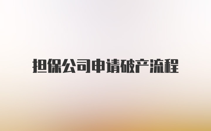 担保公司申请破产流程