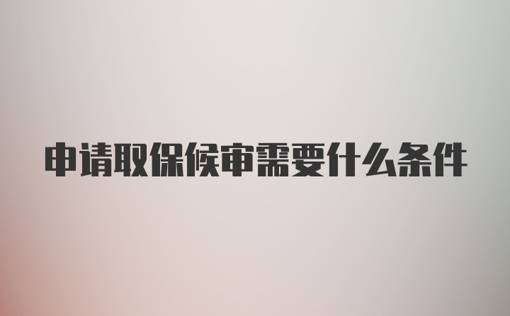 申请取保候审需要什么条件