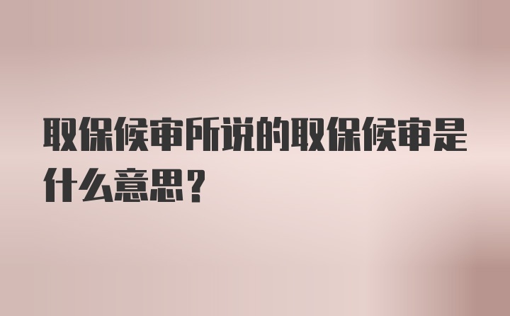 取保候审所说的取保候审是什么意思？