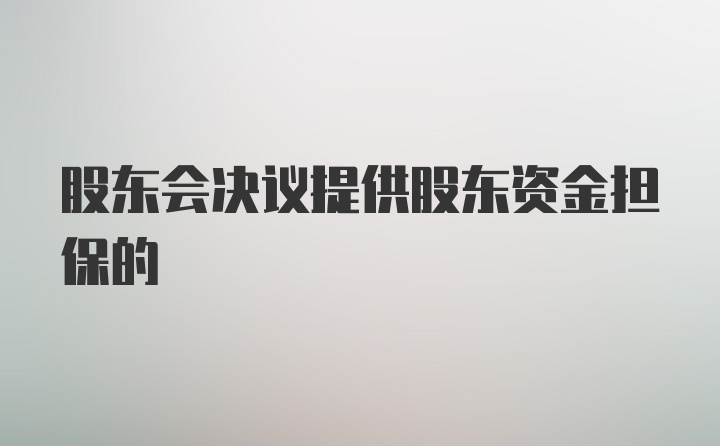 股东会决议提供股东资金担保的