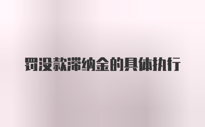 罚没款滞纳金的具体执行