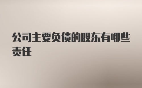 公司主要负债的股东有哪些责任