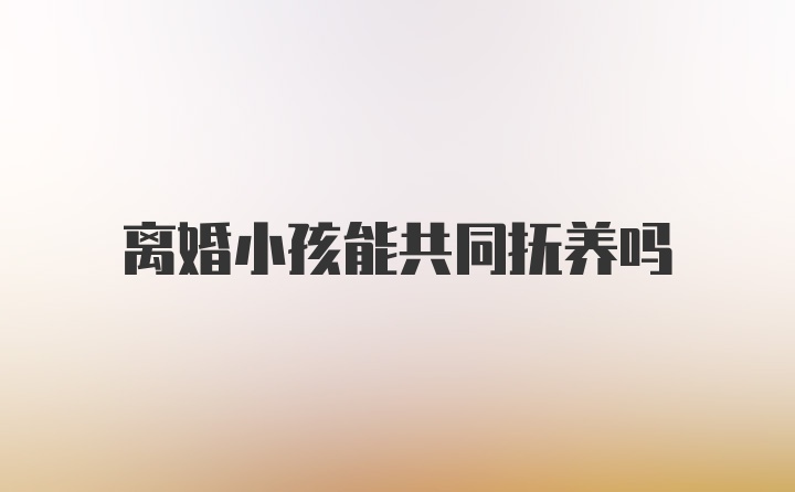 离婚小孩能共同抚养吗