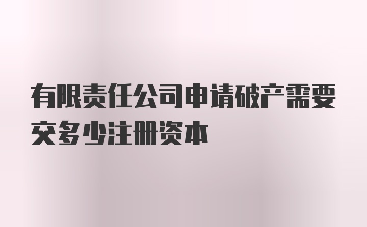 有限责任公司申请破产需要交多少注册资本