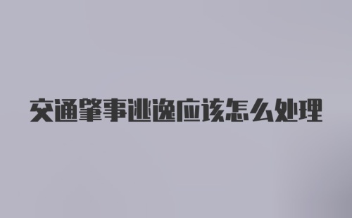 交通肇事逃逸应该怎么处理