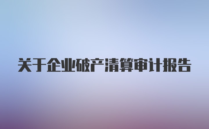 关于企业破产清算审计报告