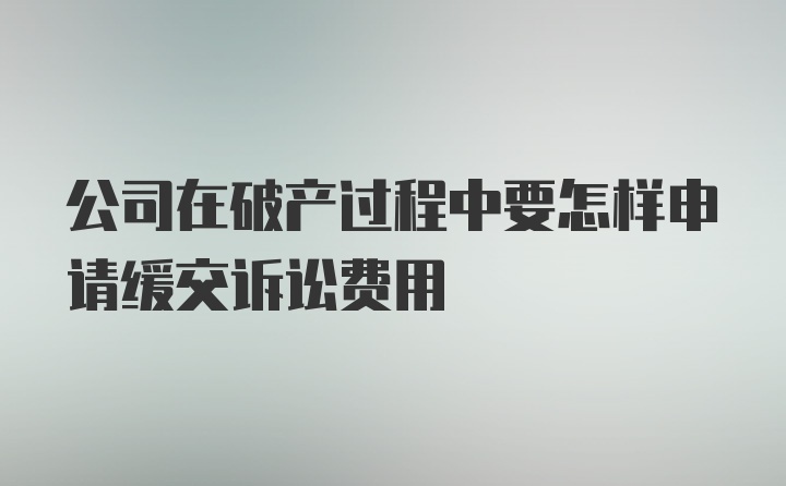 公司在破产过程中要怎样申请缓交诉讼费用