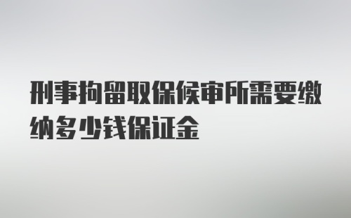 刑事拘留取保候审所需要缴纳多少钱保证金