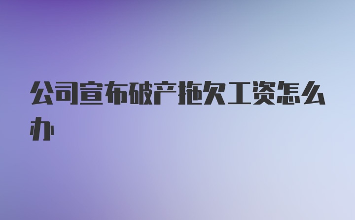 公司宣布破产拖欠工资怎么办