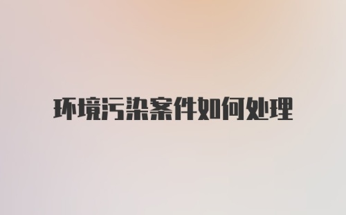 环境污染案件如何处理