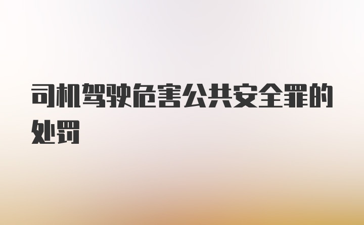 司机驾驶危害公共安全罪的处罚