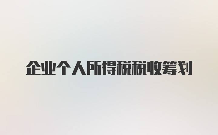 企业个人所得税税收筹划