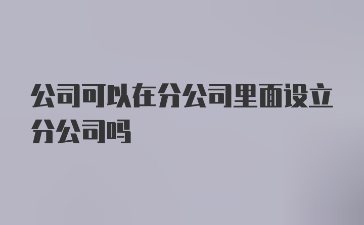 公司可以在分公司里面设立分公司吗