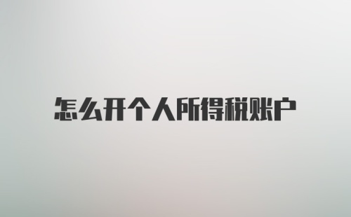 怎么开个人所得税账户