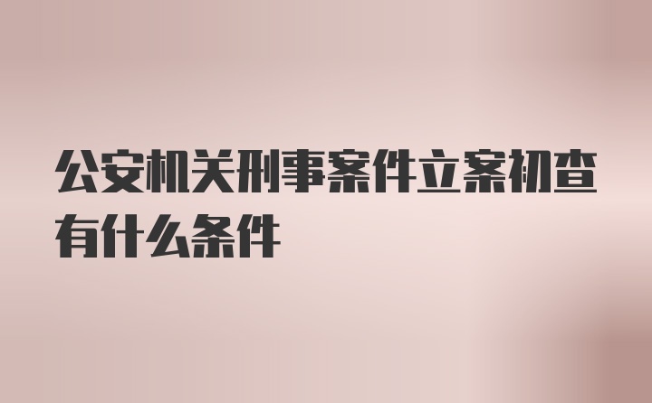 公安机关刑事案件立案初查有什么条件