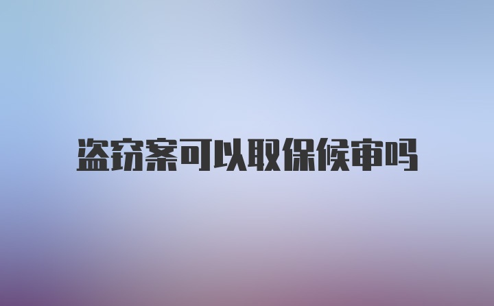 盗窃案可以取保候审吗