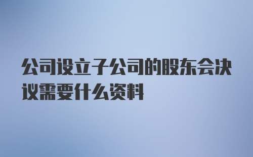 公司设立子公司的股东会决议需要什么资料