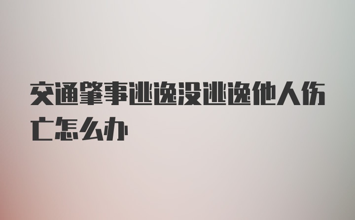 交通肇事逃逸没逃逸他人伤亡怎么办