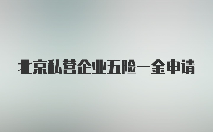 北京私营企业五险一金申请