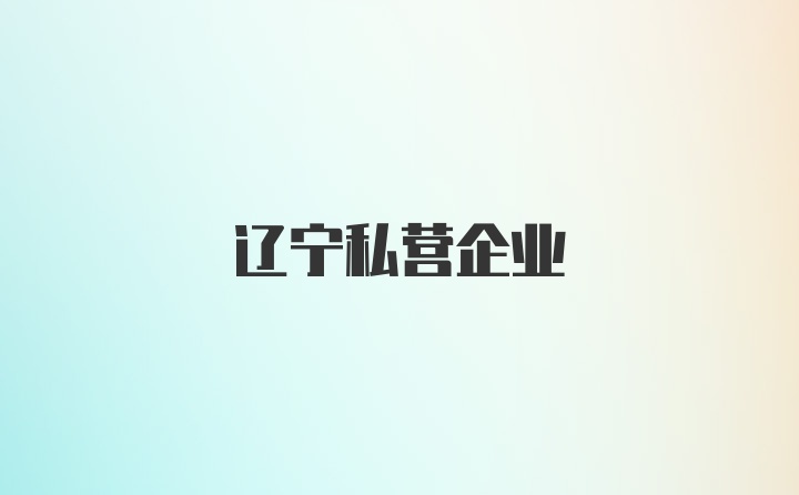 辽宁私营企业