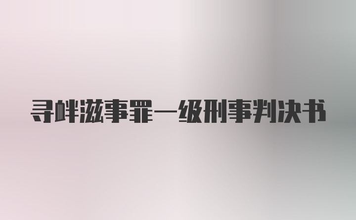 寻衅滋事罪一级刑事判决书