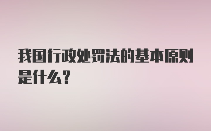 我国行政处罚法的基本原则是什么？