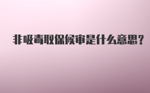 非吸毒取保候审是什么意思？