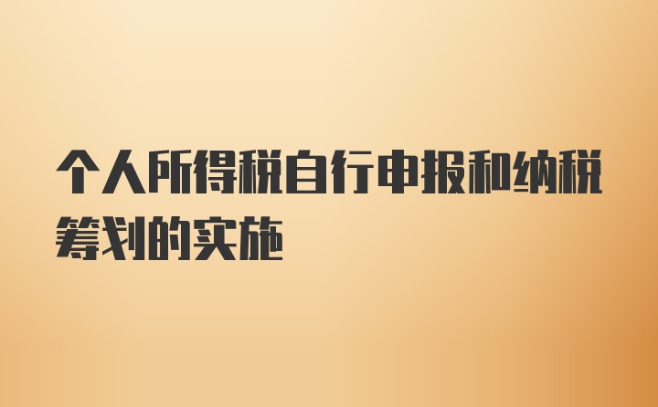 个人所得税自行申报和纳税筹划的实施