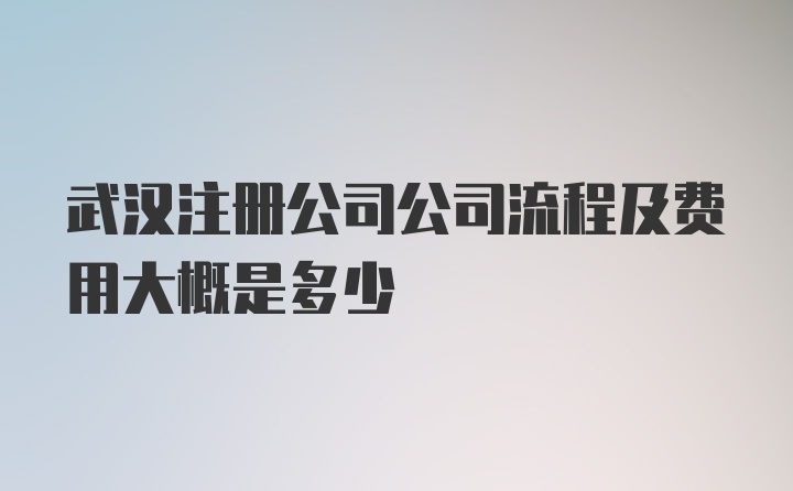 武汉注册公司公司流程及费用大概是多少