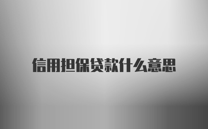 信用担保贷款什么意思