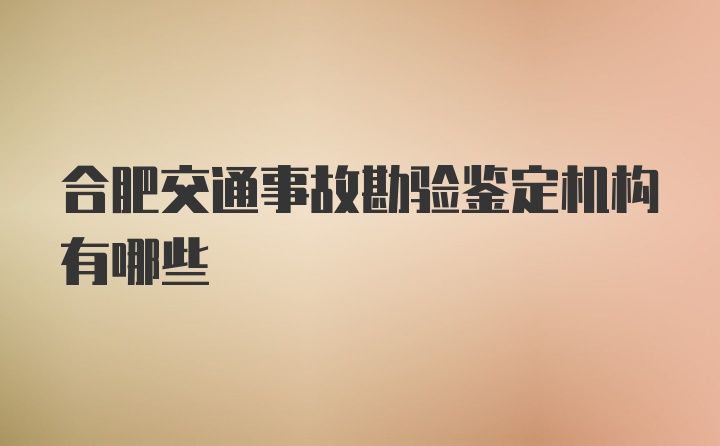 合肥交通事故勘验鉴定机构有哪些