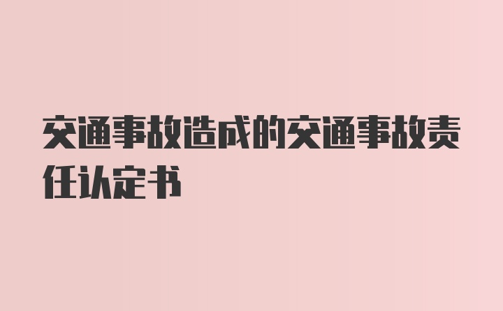 交通事故造成的交通事故责任认定书