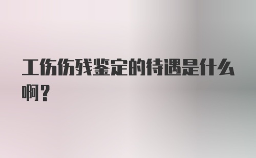 工伤伤残鉴定的待遇是什么啊?