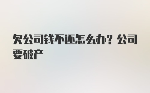 欠公司钱不还怎么办？公司要破产