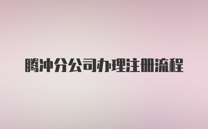 腾冲分公司办理注册流程