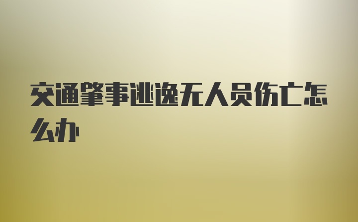 交通肇事逃逸无人员伤亡怎么办