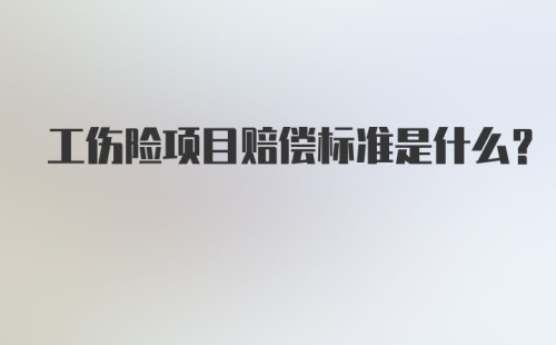 工伤险项目赔偿标准是什么？