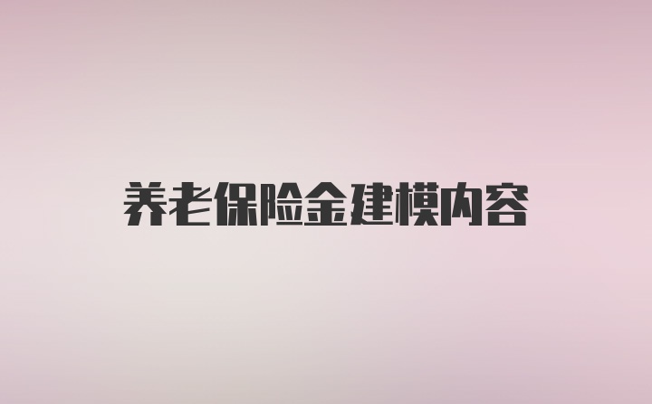 养老保险金建模内容